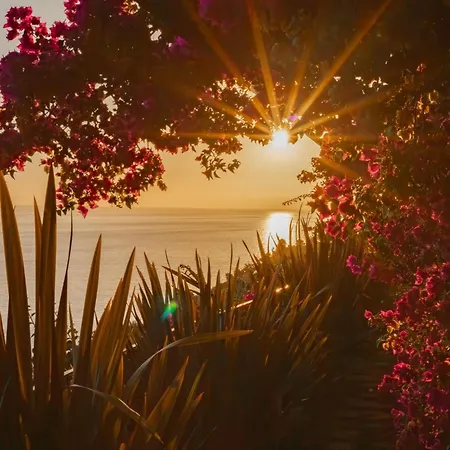 Mea Suna Villa Arco da Calheta (Madeira)