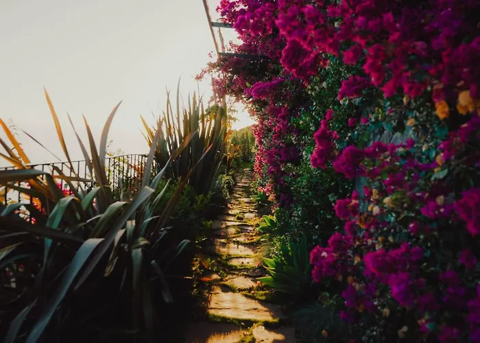 Mea Suna Villa Arco da Calheta (Madeira)