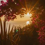 Mea Suna Willa Arco da Calheta (Madeira)