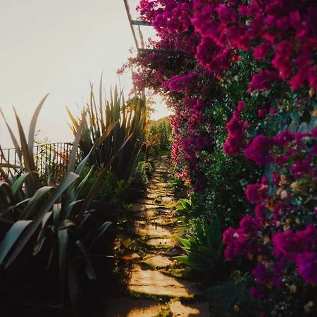 Mea Suna Villa Arco da Calheta (Madeira)